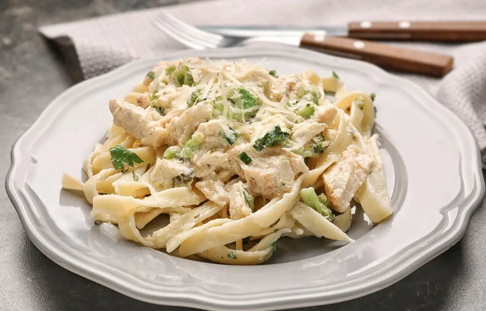 A plate of creamy pasta with diced chicken and broccoli, showcasing a delicious Diced Chicken Recipe.